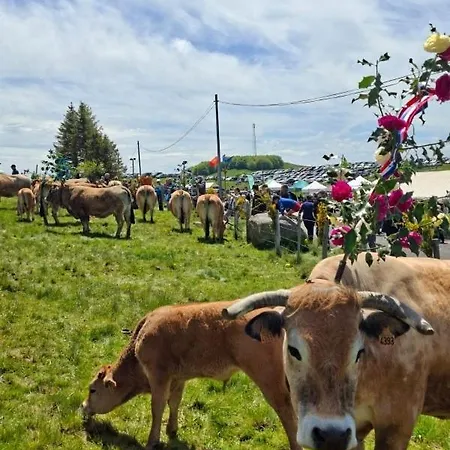 Les Volets Rouges Hébergement de vacances Saint-Laurent-dʼOlt